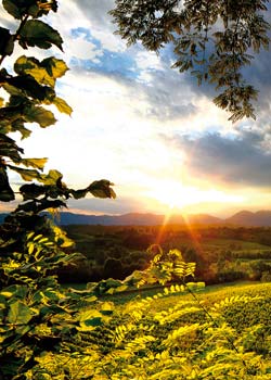 Earth Wind & Wine 33