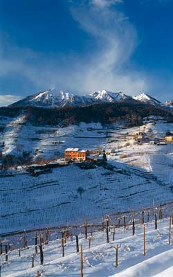Earth Wind & Wine 41
