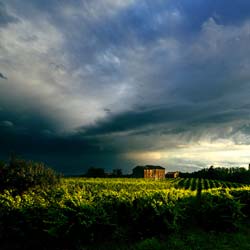 Earth Wind & Wine 42